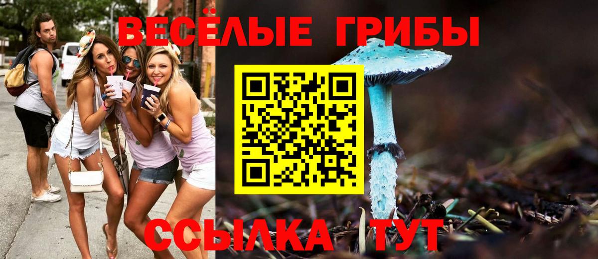 Псилоцибиновые грибы MAGIC MUSHROOMS Дзержинск