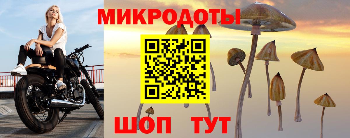 Псилоцибиновые грибы GOLDEN TEACHER  Псилоцибиновые грибы MAGIC MUSHROOMS  Вход с VPN  Дзержинск 